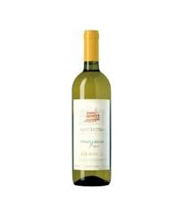 White Wine Pinot Grigio Col D'orcia 2024 Organic